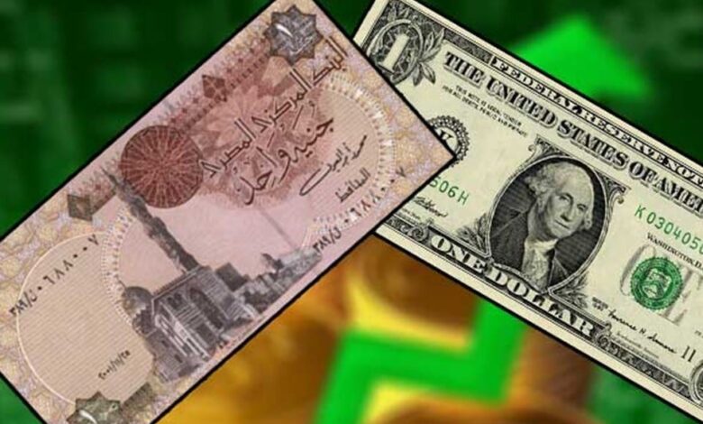 سعر الدولار اليوم في مصر