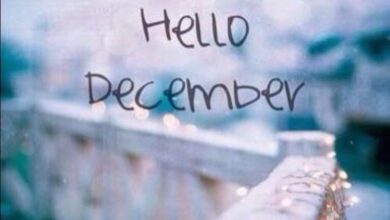 صور مواليد December ديسمبر