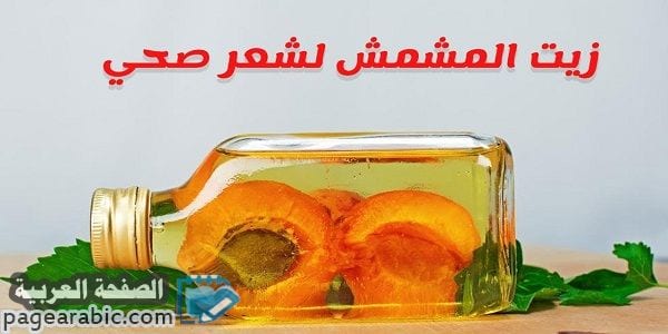 طرق لاستخدام زيت المشمش لتكثيف مضاعف للشعر