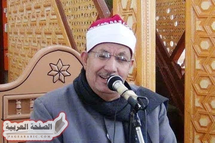 محمد السيد ضيف