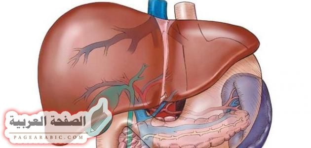 علاج الالتهاب الكبدى