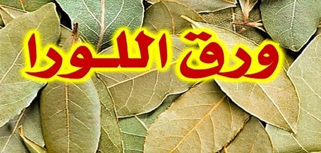 فوائد ورق اللورا 